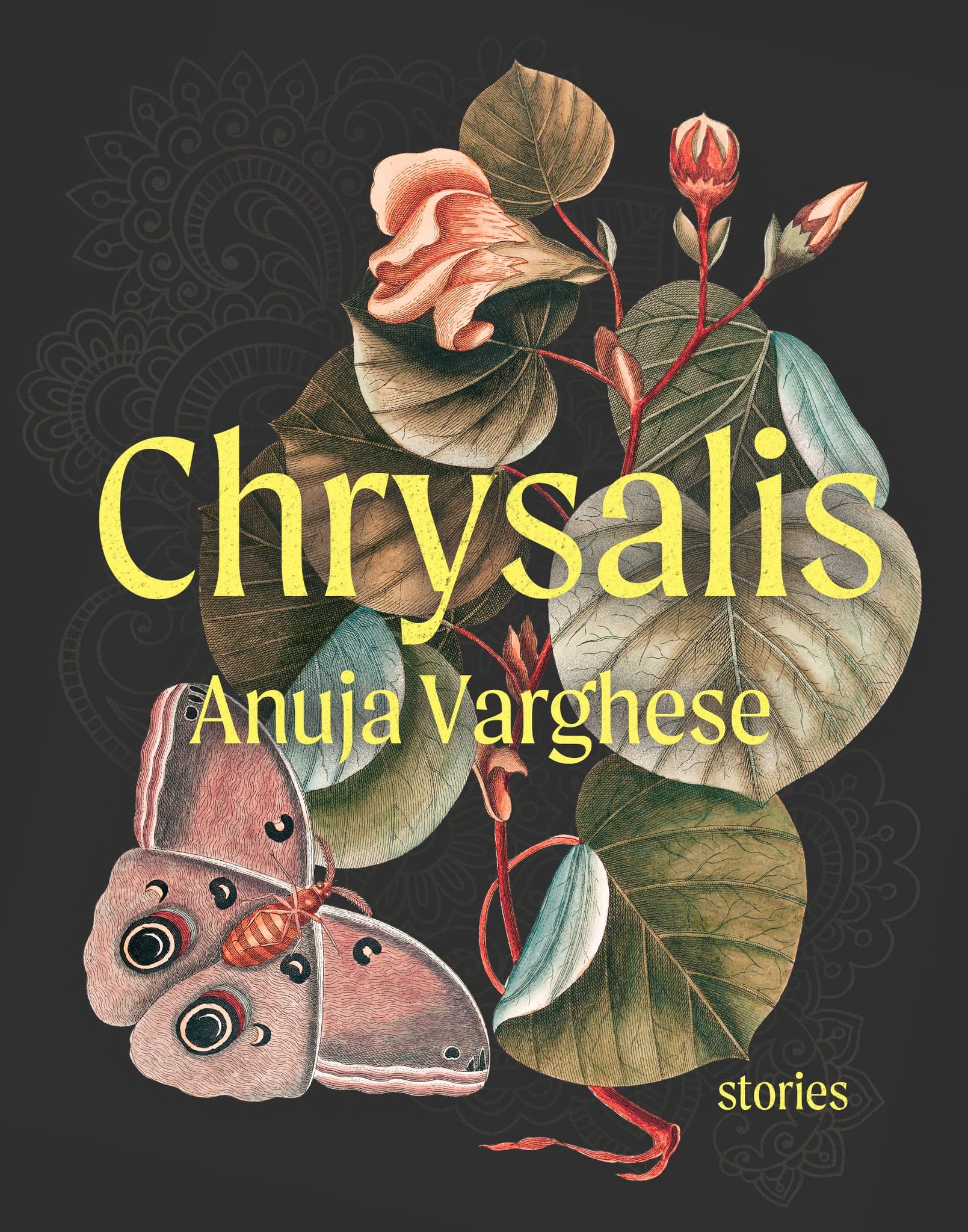 Chrysalis by Anuja Varghese